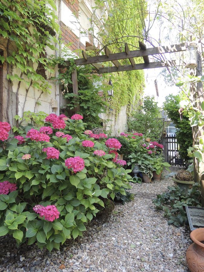 Maison D'Hotes "Les Volets Verts" Et Sa Brocante Ecueille Exterior photo